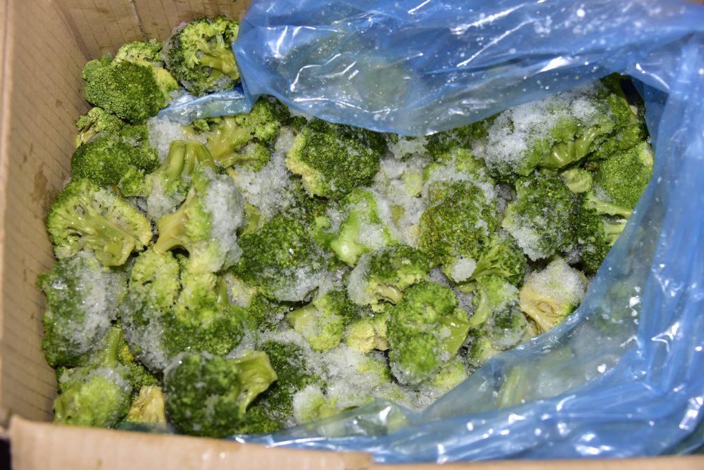 Thawing Broccoli