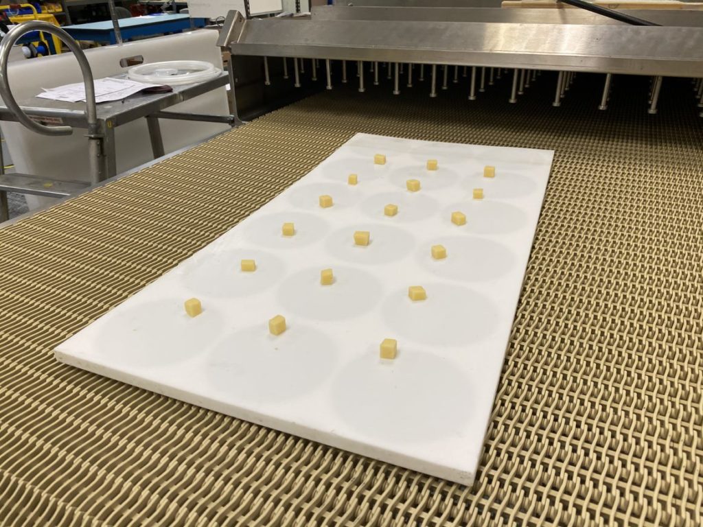 Cheese Microwave Testing
